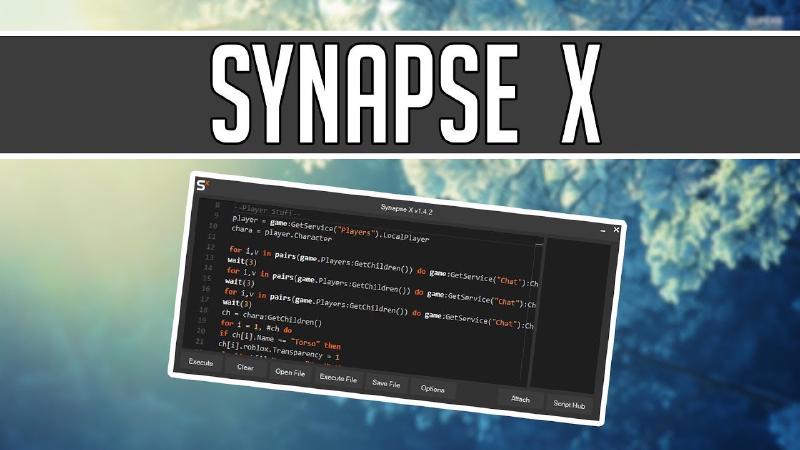 Featured image of post Synapse X